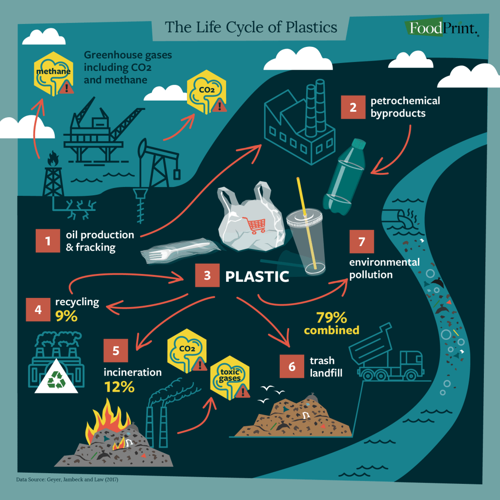 Plastic lifecycle